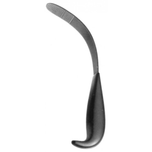 Oral Instruments